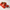 Lycopene