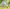 Promotion banner